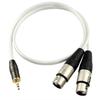 XLR Cable, Microphone Cable, Canon Conversion Cable, Audio Cable, Stereo Cable, 3.5mm Plug (Male) to 2XLR Plug (Female) Stereo Mini Plug (0.5m)