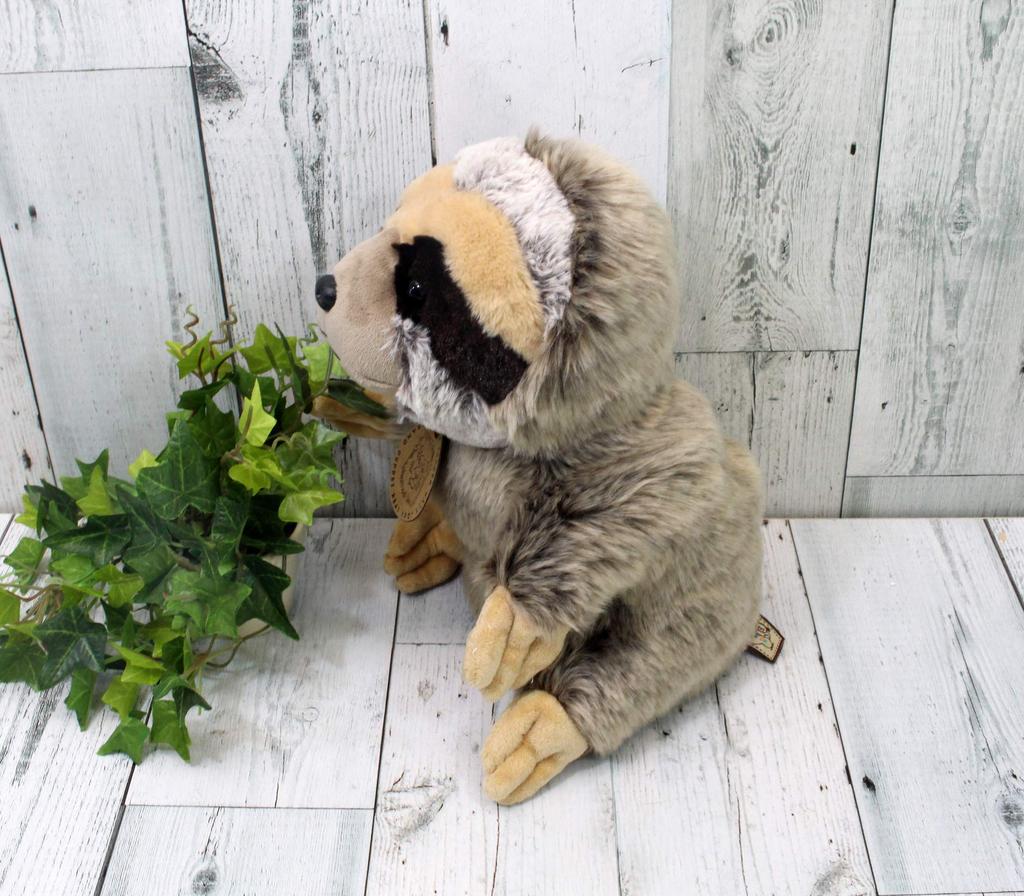 Take Off Real Spot Sloth