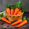 False Fruit Realistic Appearance Photo Props Teaching Toy Simulation Mini Carrot Easter Supplies