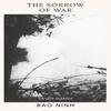 The Sorrow of War by Bao Ninh Paperback Book 9781784879839