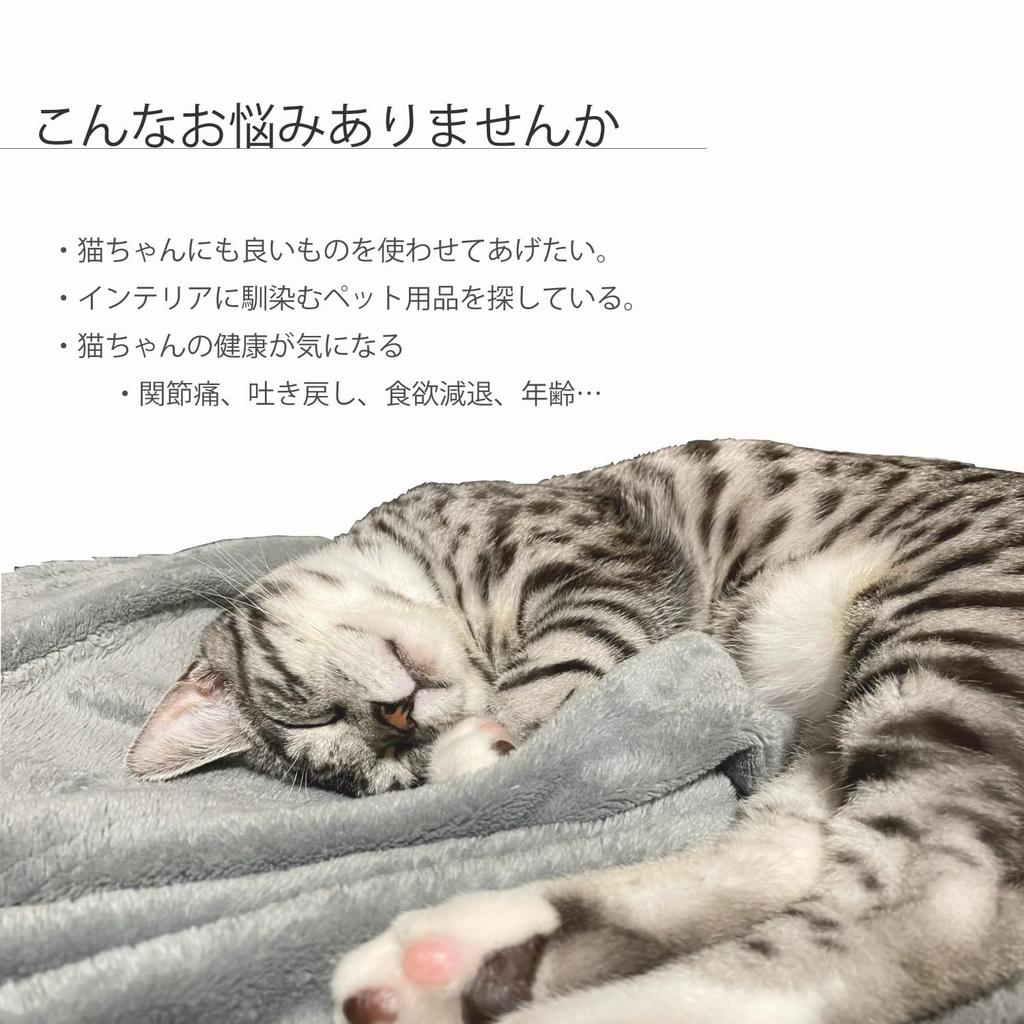 KATOMOKU Cat Beech Table, 2-Dish Capacity, Wood, km-123NA