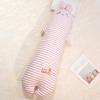 Striped Rabbit Long Throw Pillow Removable Husky Dog Dinosaur Leg Long Doll Girl Bed Sleeping Pillow