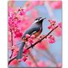 Полный 5D Diy Алмазная картина Весенняя Сорока Вышивка Крестом Домашний Декор Ручной Подарок