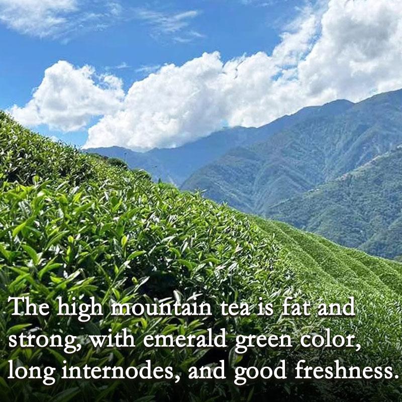 HelloYoung Jin Xuan Milk Oolong Tea - Taiwaness Oolong Tea Loose Leaf - Taiwan High Mountain Tea - Delicate and Silky Smooth - Stabilizes