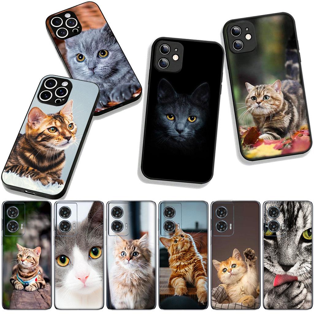 Blue Cat Green Eyes Meow Phone Cover for Xiaomi Redmi Note 14 12 13 ProPlus A4 A3 Pro Plus 12C 13C 14C 5G Case