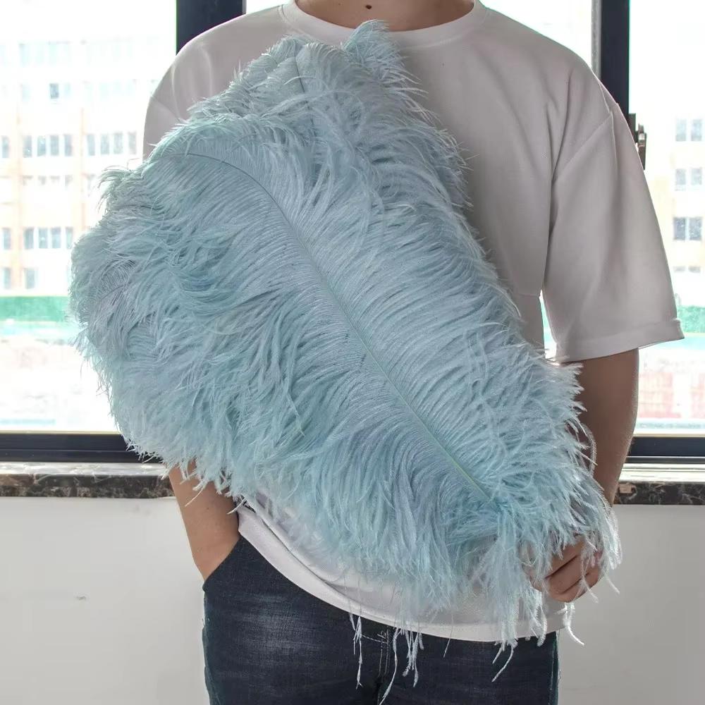 15-60Cm Natural Ostrich Feathers | High-Quality For Diy, Wedding, Party, Stage, Costume & Home Decor | Various Colors Available