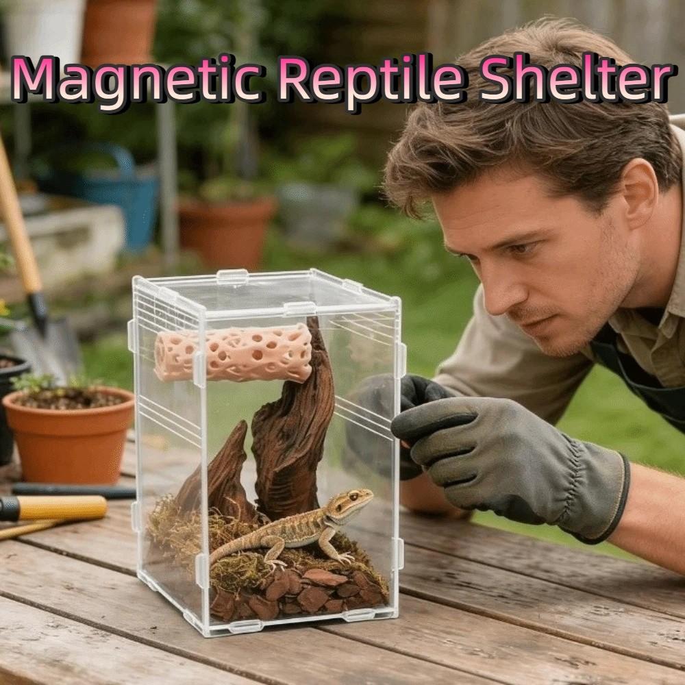 Ventilated Structure Jumping Spider Habitat Innovative Amphibian Enclosure  Frog Habitat