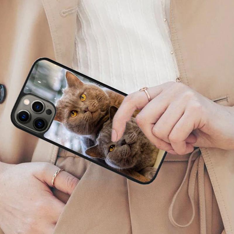 Beautiful Grey British Shorthair Cat Magnetic Phone Case For iPhone 17 Air 16 14 13 12 Pro Max 15 Plus Wireless MagSafe Cover