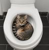 3D Funny Cat Toilet Sticker Bathroom Toilet Cover Sticker Wall Stickers Animal Wc Accessories for Home BathRoom Decoration