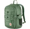 Рюкзак Fjällräven Skule 20 patina green (F23349-614)
