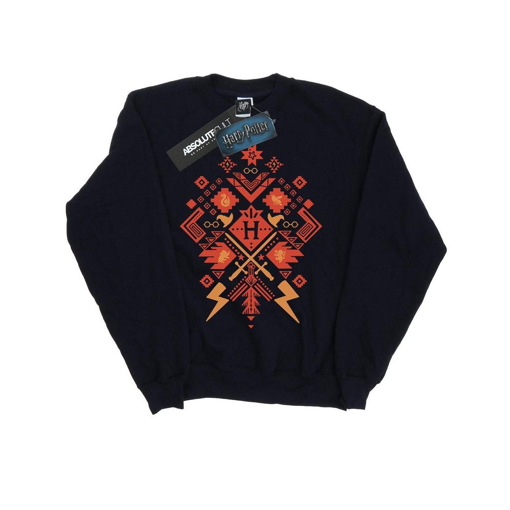 Harry Potter Boys Christmas Fair Isle Sweatshirt