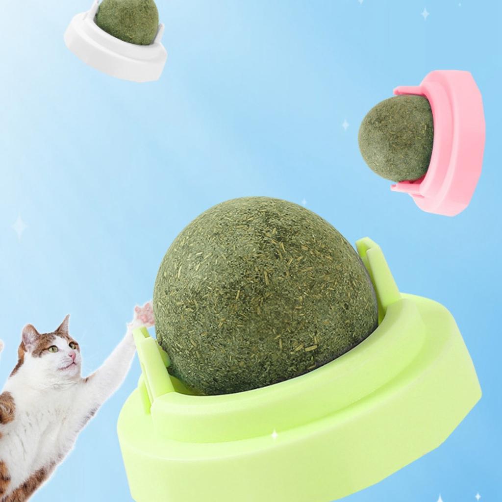 Мяч из кошачьей мяты Вращающийся шар для чистки зубов Самовеселый устойчивый к укусам интерактивная игрушка Деревянный шар Тянь Ляо