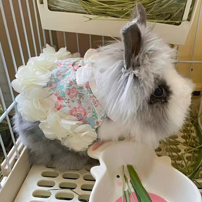 Fashion Bunny Rabbit Clothes with Harness Walking Pet Harnesses and Leash Set for Little Animals Guinea Pigs Chinchillas Suit