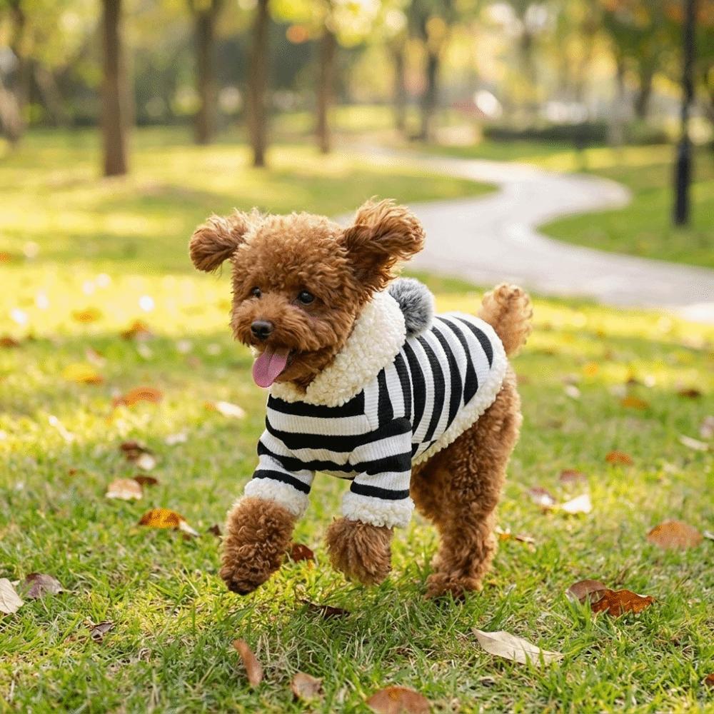 Soft Pet Striped Hoodie Thickened Cat Fleece Jacket Dog Two Leg Coat Pet Hooded Jacket Indoor
