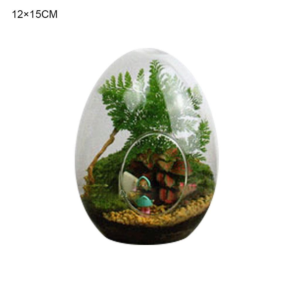 Высококачественные стеклянные бутылки, креативная стеклянная ваза для суккулентов, террариум в форме яйца, микроландшафтный стеклянный гидропонный террариум