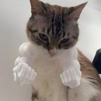 Костюм кошачьей мышцы руки, 3D-принтованная кошачья шея-рука с мышцей, забавная кошачья шея, подвесное украшение, принадлежности для Хэллоуина, дня рождения