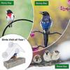 2026 Suitable Window Bird Feeder for Outside with Strong Suction Cups, Fits for Cardinals, Finches, Chickadees etc.