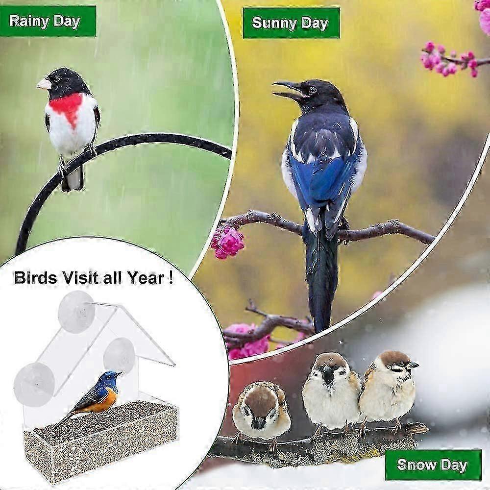 2026 Suitable Window Bird Feeder for Outside with Strong Suction Cups, Fits for Cardinals, Finches, Chickadees etc.