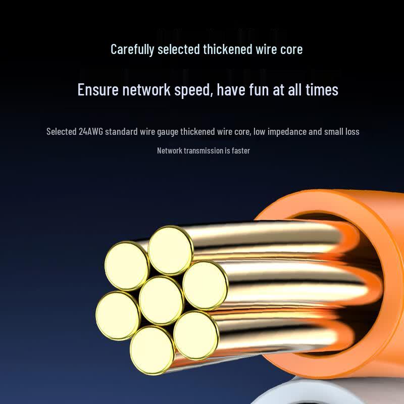 Кабель Ethernet Shengwei Cat6A 10 Gigabit