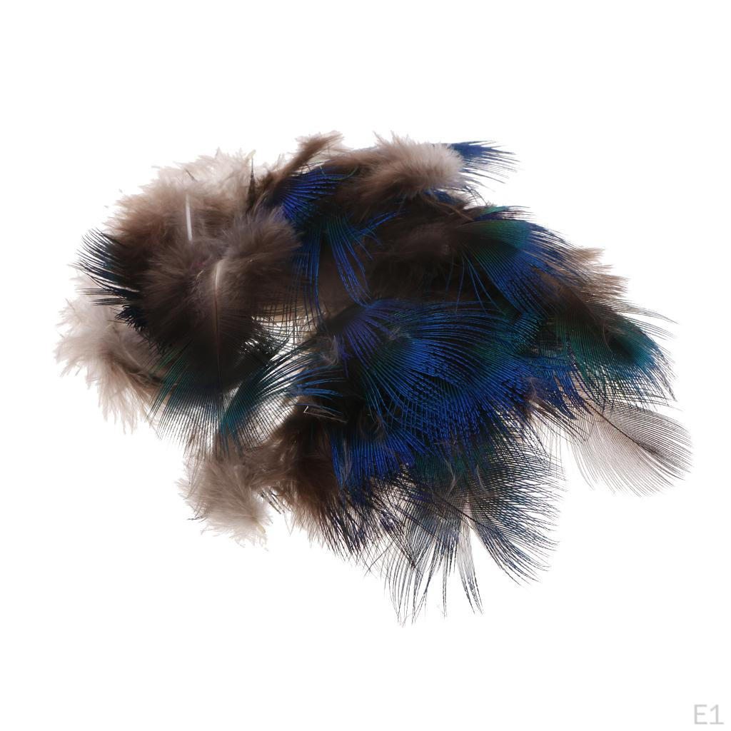 50 шт., украшения из перьев, вечерние украшения, модный костюм, одежда 5x3 см