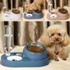Automatic Pet Food Water Container Drinking Water Pet Water Dispenser  Pet Supplies