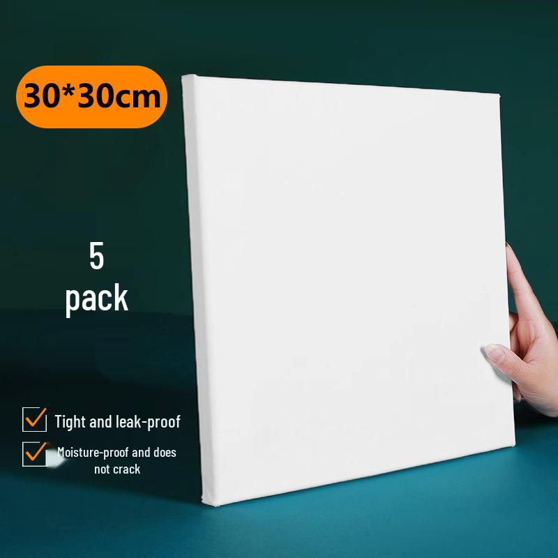 5-Piece Acrylic Oil Painting Set: Blank Cotton & Linen Canvas Panels with Large Frame