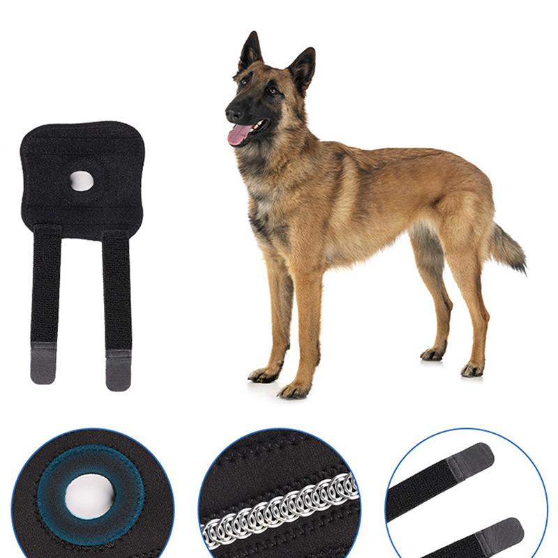 Наколенники для собак, восстановление после травм, фиксированная поддержка, защита для домашних животных, облегчение боли, повязка на ноги, поддержка восстановления домашних животных