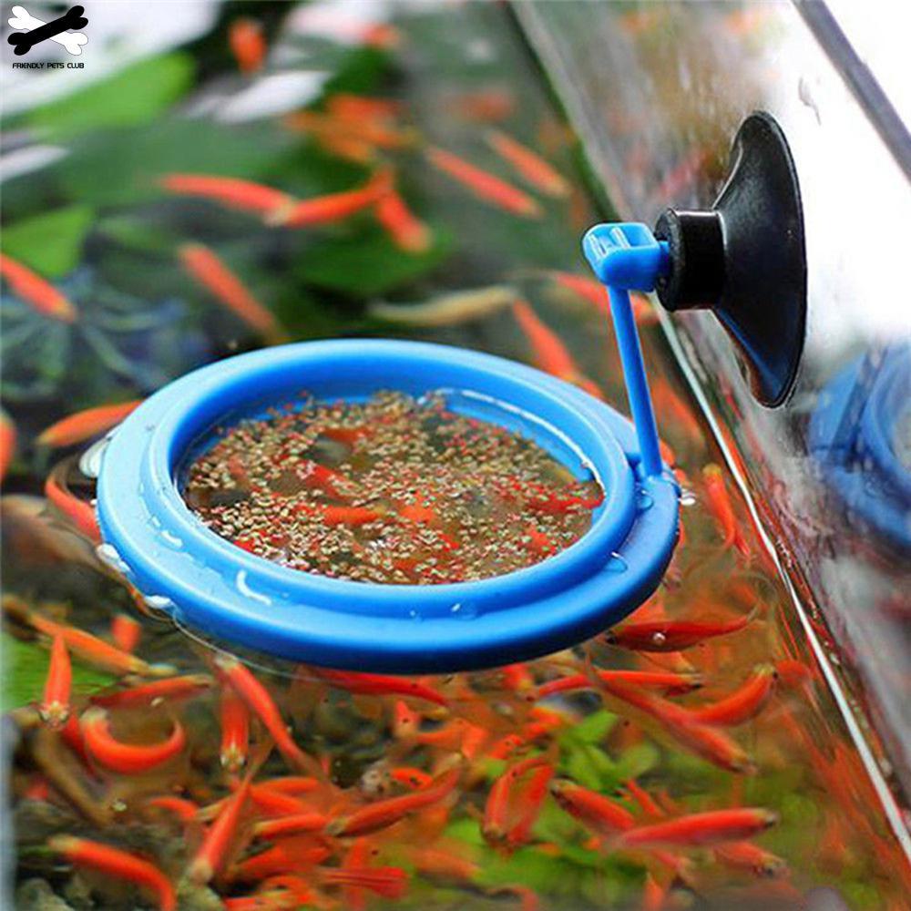 Aquarium Feeding Ring Fish Tank Station Floating Food Tray Feeder Square Circle Accessory Water Plant Buoyancy Suction Cup KTY