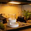 1PCS 6-way rotating automatic drinking fountain for reptiles and small animals, universal drinking basin for amphibians