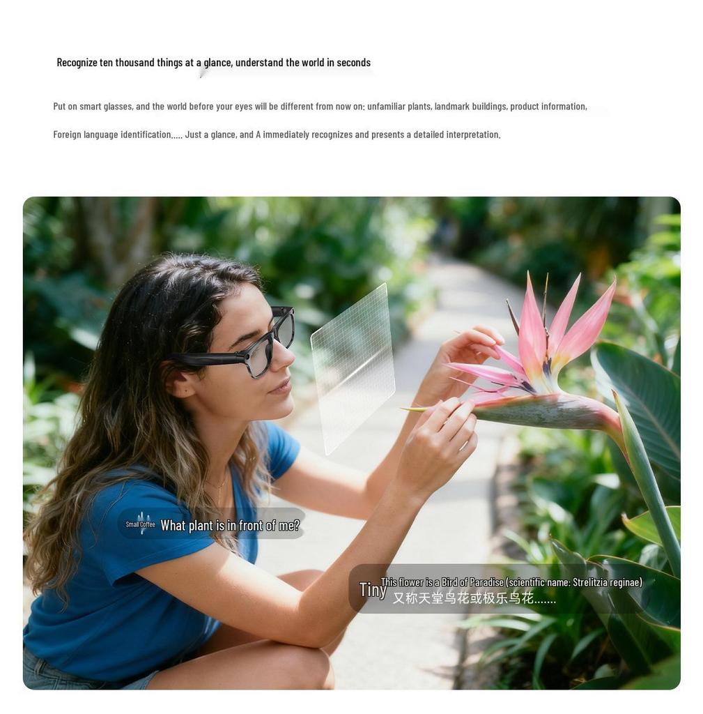 AI Smart Glasses with Photochromic Lenses - Multifunctional: Music, Call, Translation, and Photo Recording (Model M65)
