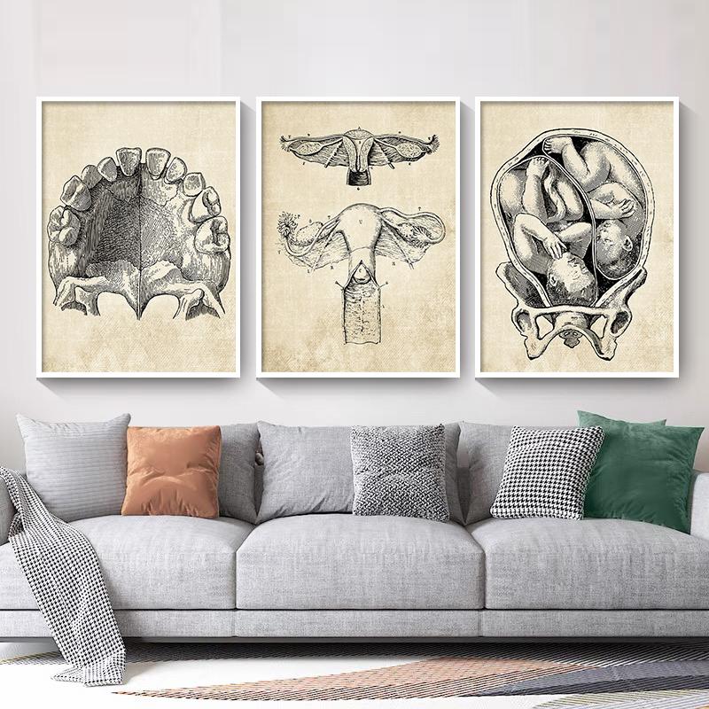Постеры на скандинавскую тему и принты, настенная живопись на холсте, Анатомия, скелет, винтажные настенные панно для больницы, доктора, офисного декора