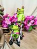 Frog with a Stroller