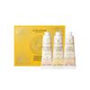 L'OCCITANE День и Ночь Плетение Подарочная коробка Лаванда Мед Персик Цитрус Вишня Набор из 3 штук: Крем для рук Rayons Hiver Крем для рук Nuit Fest