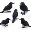 Реалистичный набор черных воронов с реалистичными искусственными перьями - аутентичный винтажный стиль, реквизит для декора на Хэллоуин с реалистичным касанием