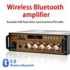 BT-198E Bluetooth Аудиоусилитель 35 Вт×2/12 В постоянного тока/Вход 220 В переменного тока/Вход USB SD AUX MIC/Двухканальный усилитель мощности
