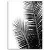 Canvas print, Palm leaves
