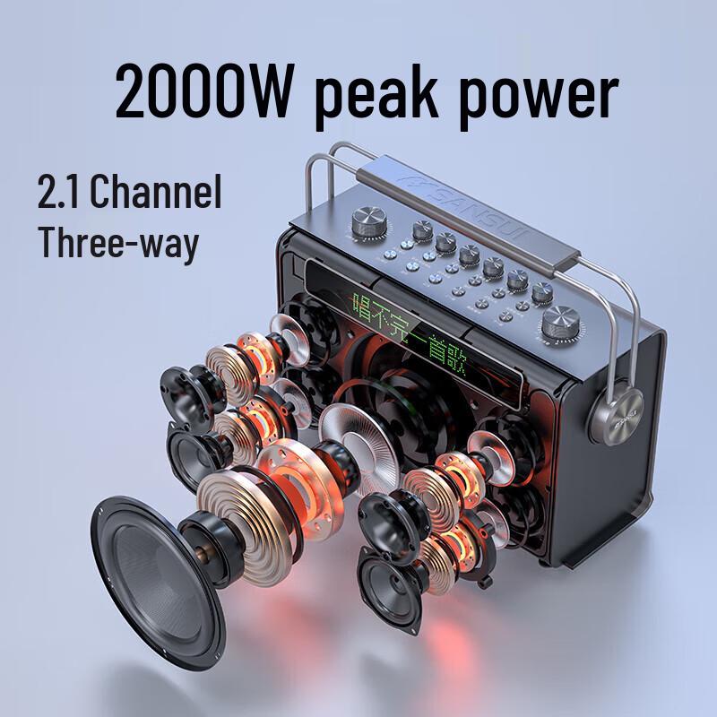 Sansui E96 Portable Karaoke Bluetooth Speaker CN plug (adapter included)