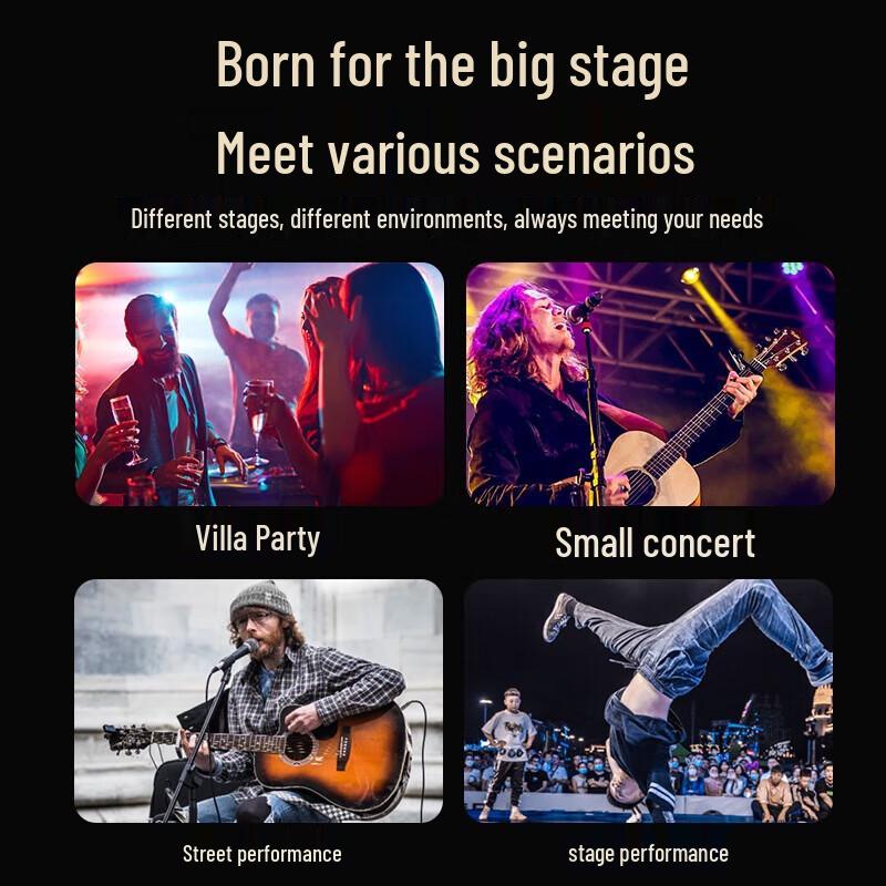 SAST Professional KTV & Meeting All-in-One Audio System ST-2118