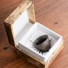 Dehua rust glaze tea cup retro master cup single cup household personal cup toast tea cup drink tea cup