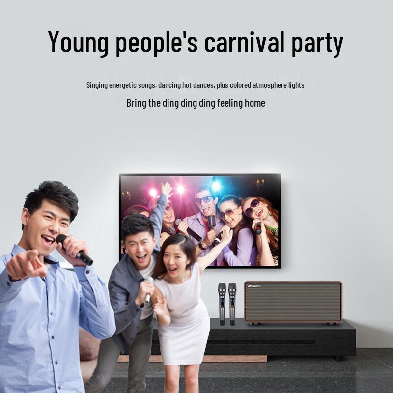 SANSUI H3 KTV Home Theater Audio System