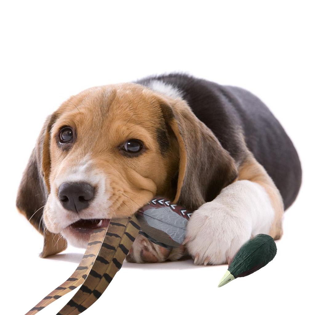 Манекен для дрессировки, игрушка для собак, для уличной интерактивной игры, игрушка для преследования домашних животных, игрушка для дрессировки собак, фазан, товары для животных