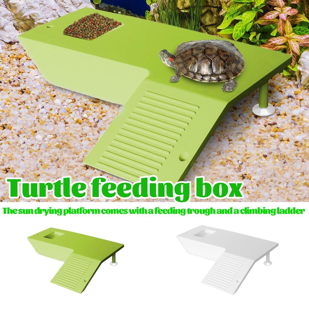 Feeding Table Versatile Aquatic Turtle Basking And Climbing Natural Habitat Aquarium Accessory