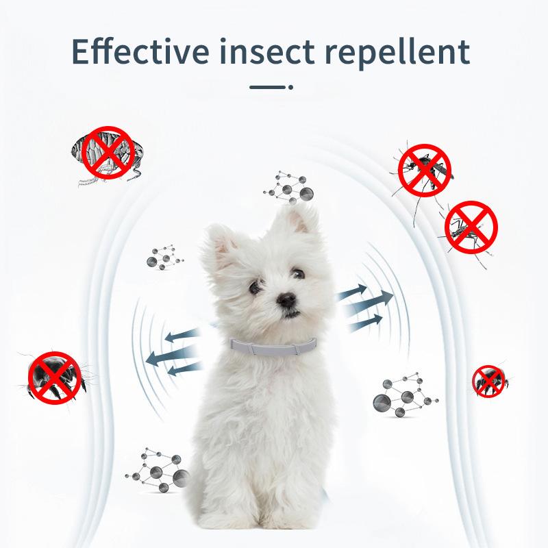 Pet Dog Anti Flea And Ticks Cats Collar Pet 8Month Protection Retractable Pet Collars For Puppy Cat Large Dogs Accessories