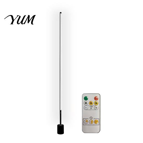 Tall Corner Lamp with Sturdy Base USB Floor for Bedroom, 50/100cm Modern Standing Light Remote, Metal Reading Bedroom 360 Degree Dimmable LED