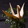 Mori No Kami Natural Wood Set of 150 X 150mm (Foldable Paper), Ultra-Thin, Origami, Cedar, Large, 5,