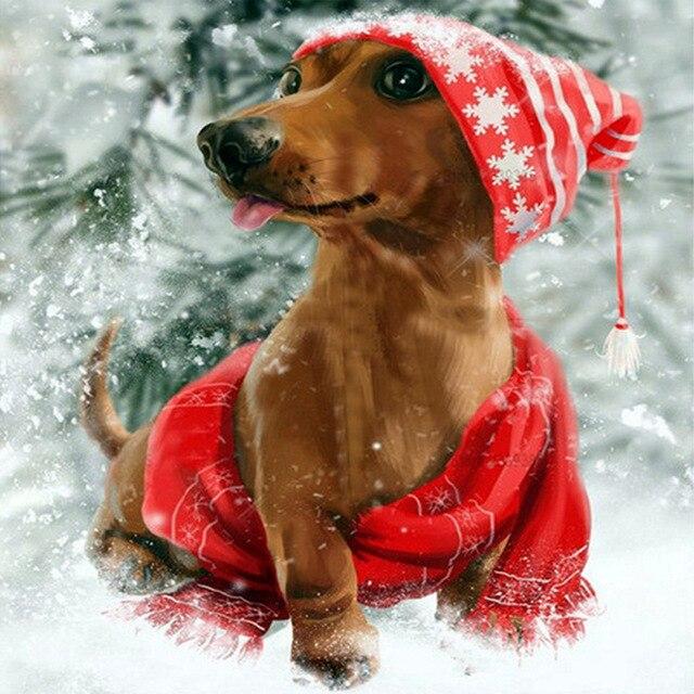 50x50 см 5D алмазная живопись полная квадратная бабочка Алмазная вышивка животные вышивка крестиком ремесленная художественное украшение дома