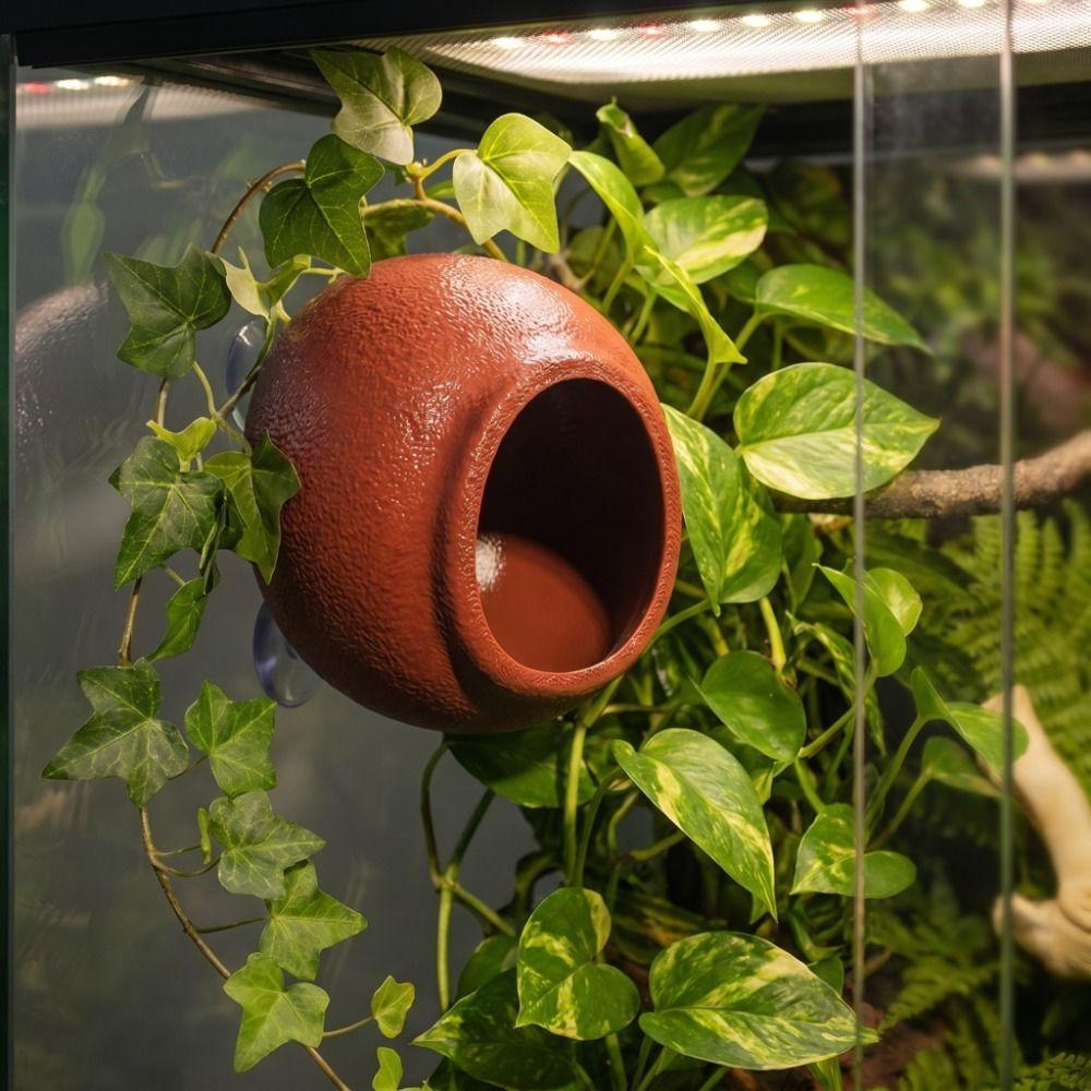 Suction Cup Reptile Hideouts Egg Shaped Climbing Habitat Safe Terrarium Decoration Gecko Habitat