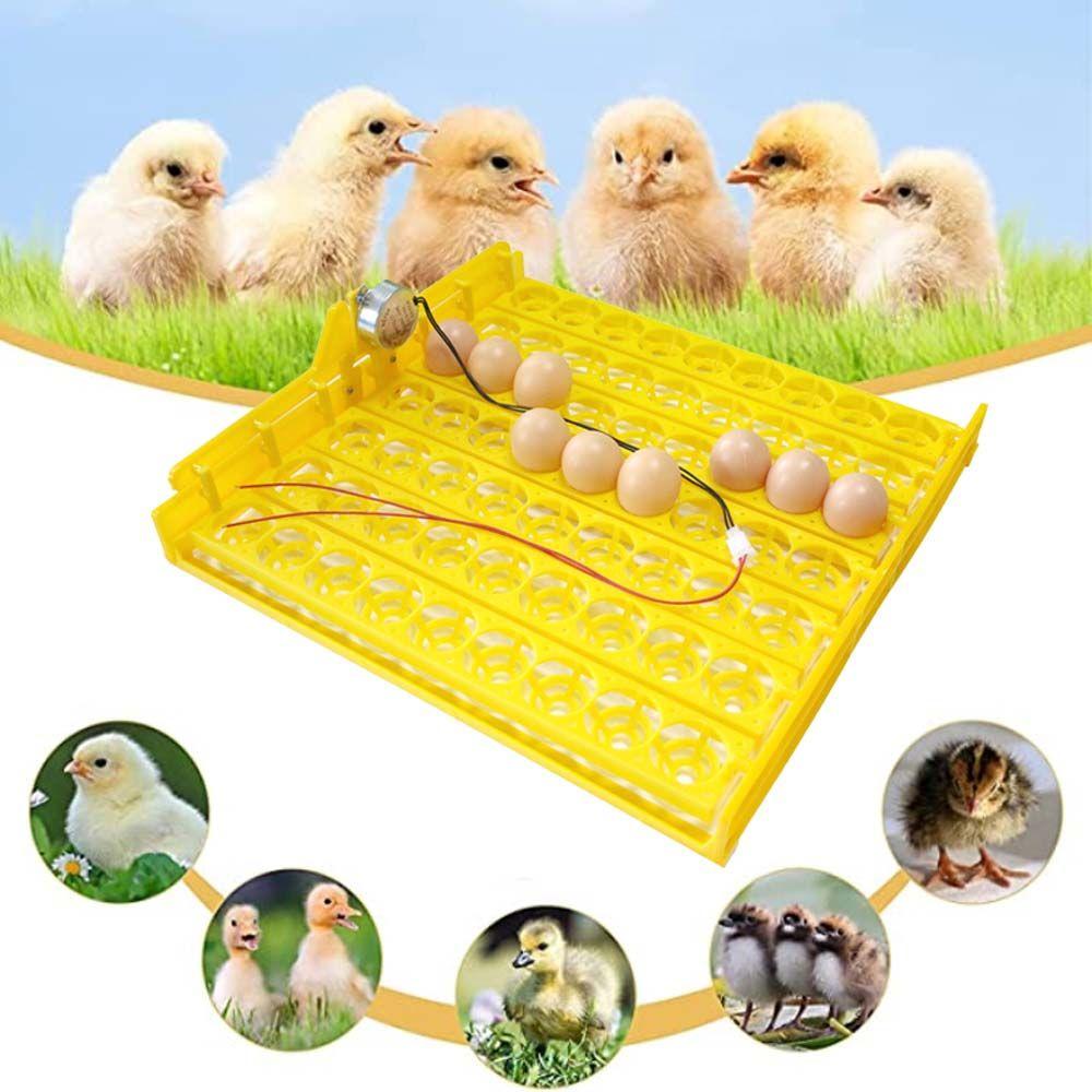 Motor Automatic Multifunction Egg Turning Tray For Chicken Duck Egg Brooder Accessory Egg Incubator