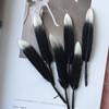 Feather Diy Handmade Crafts Decoration Materials Shooting Background Props Spray Silver Feather Decorations