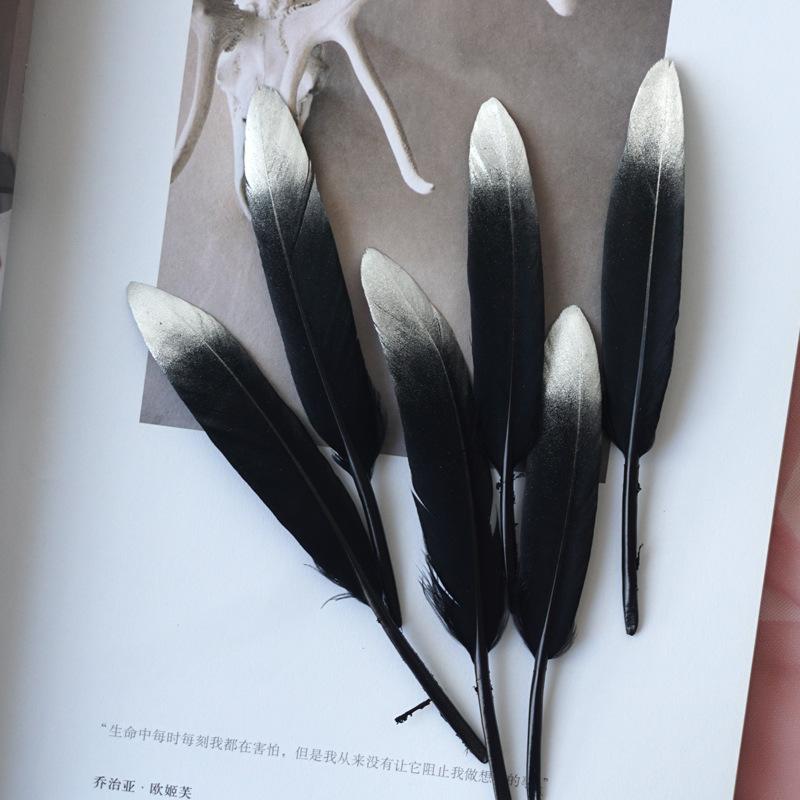 Feather Diy Handmade Crafts Decoration Materials Shooting Background Props Spray Silver Feather Decorations